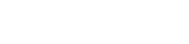 Lesonit Logo