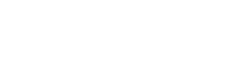Finsa Logo